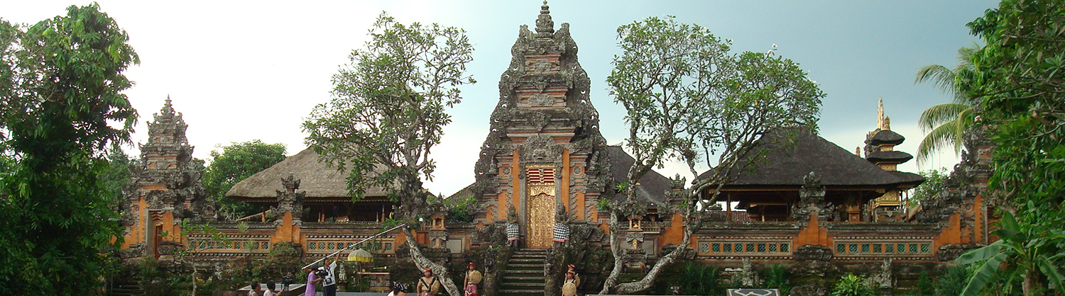 Bali Taman Saraswati